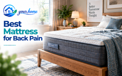 Best Mattress for Back Pain in 2026: 8 Top-Rated Options Reviewed